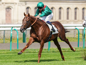 The 14/1 Shot Who Could Make A Statement Win In the Epsom Derby