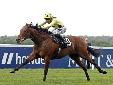 Has Rosallion’s Final Group One Opportunity Slipped Away?