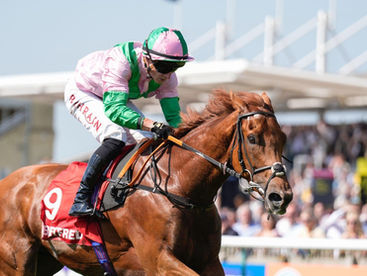 Two Horses to Note at Newmarket Tomorrow