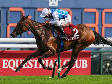My Arc de Triomphe Final Thoughts
