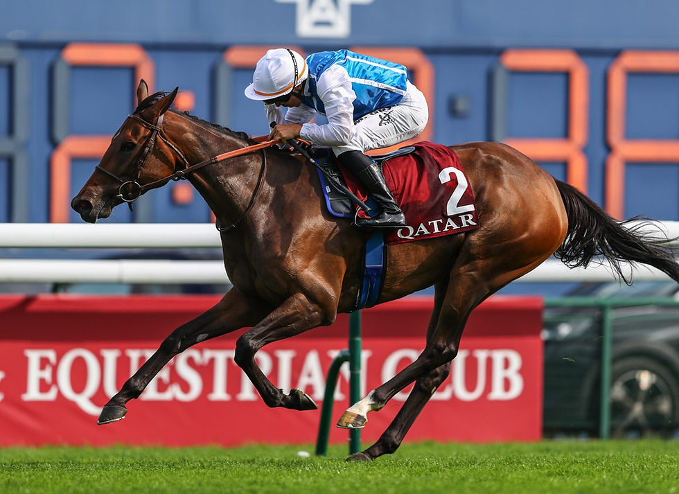 My Arc de Triomphe Final Thoughts