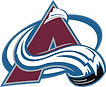 avs logo.png