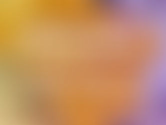 Curso formará multiplicadoras para fortalecer candidaturas de mulheres do PT