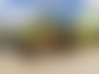 Senador Weverton faz entrega de equipamentos a municípios no Maranhão