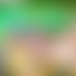 “Recebo essa missão com humildade e responsabilidade”, diz Orleans Brandão em lançamento de pré-candidatura no Maranhão