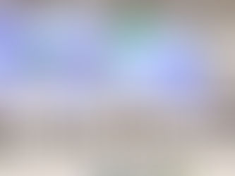 Plataforma e plenárias estaduais fortalecem participação social na elaboração do PPA