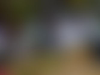 Weverton comanda multidão pelas ruas de Pinheiro