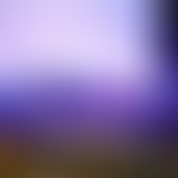 Prefeitura de Timon reforça compromisso com o desenvolvimento urbano e a regularização fundiária durante o “Timon em Debate”