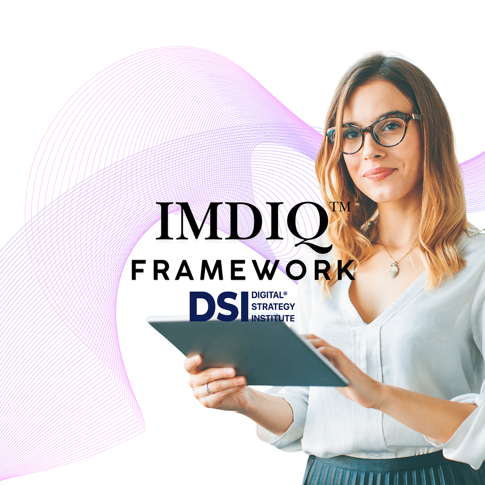 IMDIQ Framework.png