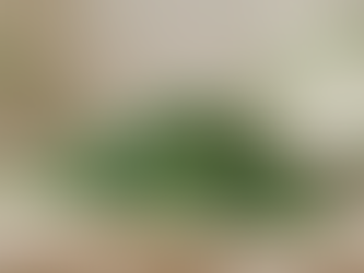 Close-up view of recycled polymer pellets ready for manufacturing