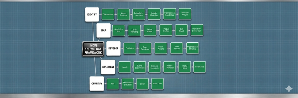 IMDIQ Framework Stretch.png