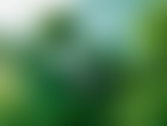 Granulon Annual Letter 2024