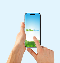 Download the NoMowSnow App