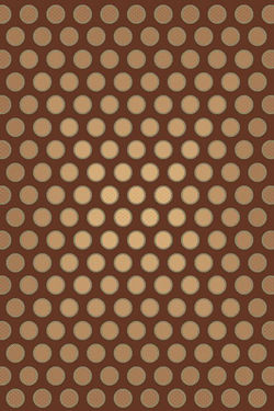 X-558-CHOCOLATE-xl