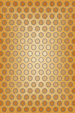 X-558-GOLD-xl