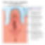 ree