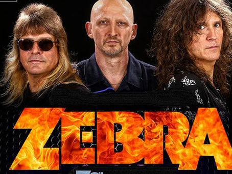 ZEBRA anuncia los shows en vivo de 2022