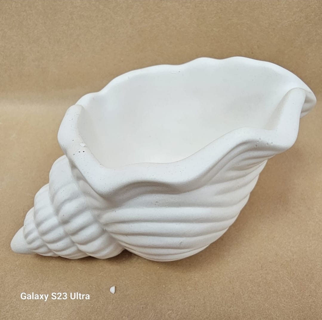 صحن كونكريت صدفة