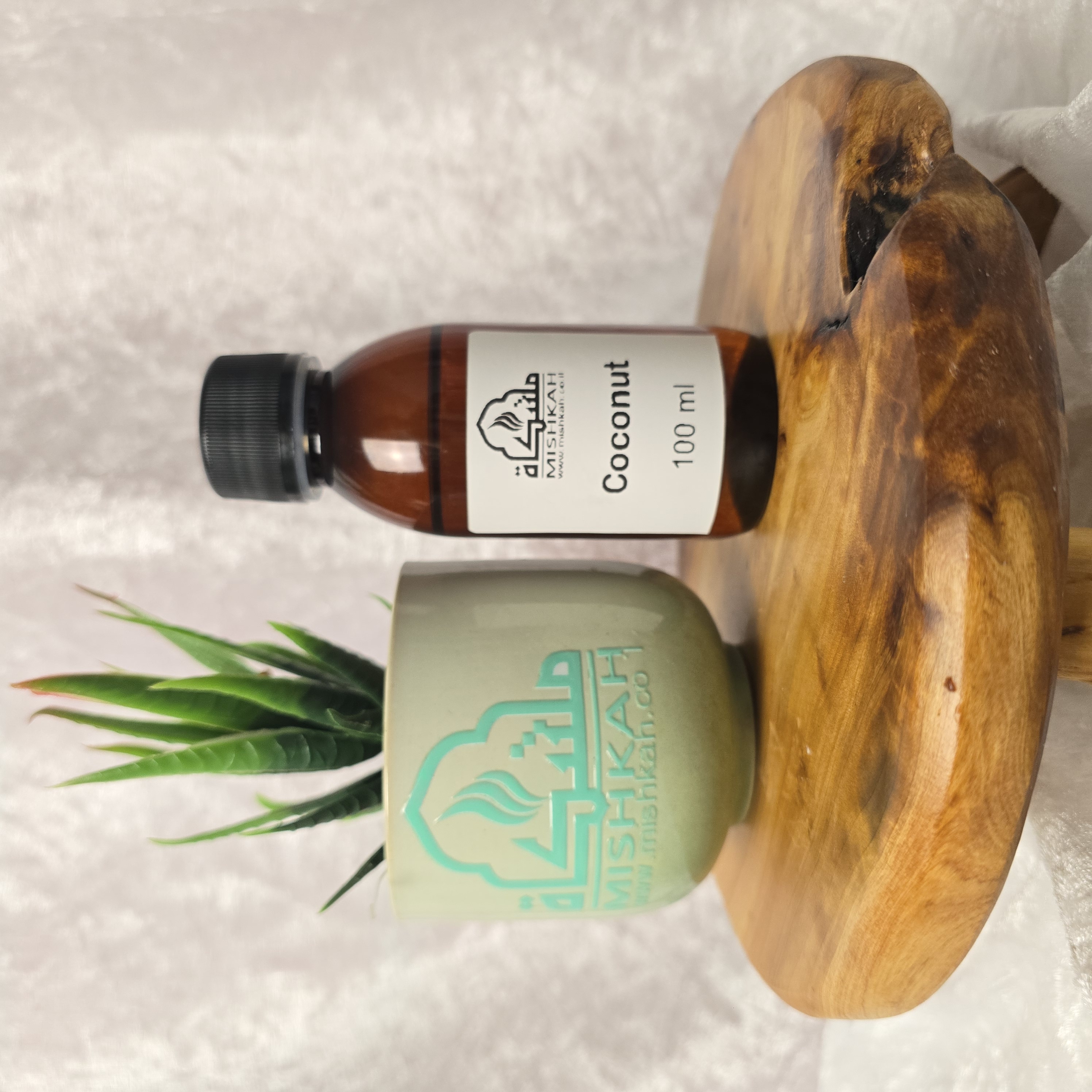 Coconut عطر جوز الهند