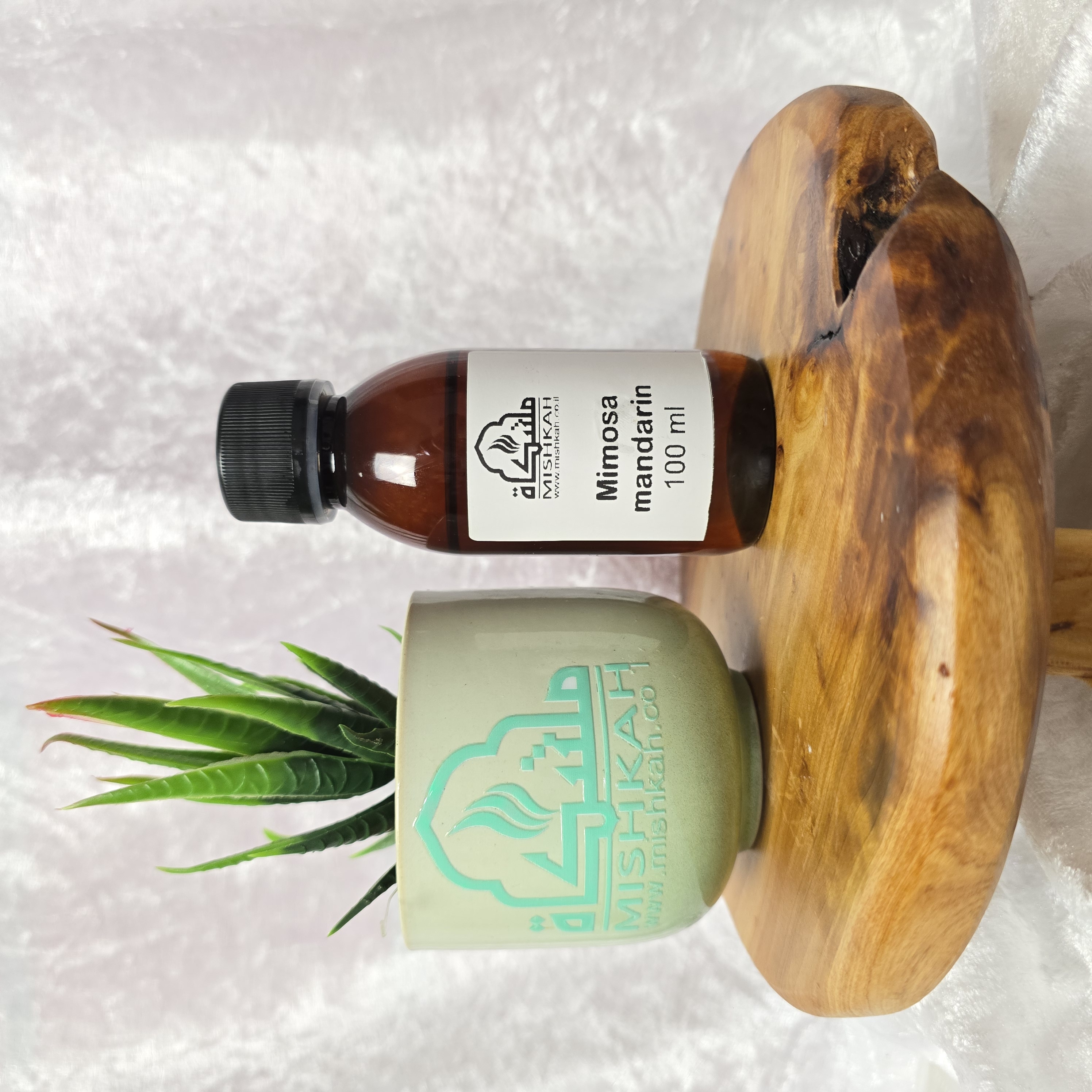 Mimosa mandarin extra عطر ميموزا مندرين اكسترا