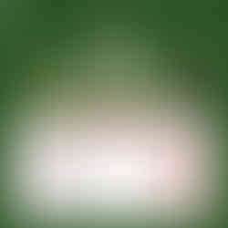 크리스마스 게릴라 이벤트