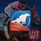 horse.avif