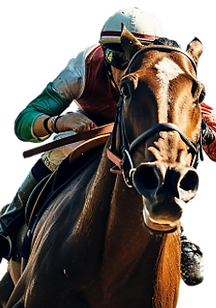 Mask group - 2025-01-10T151340_764.png