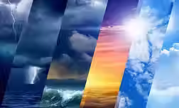 61c17c_d148ffdb3e3741559760a6111a441df8~mv2.avif