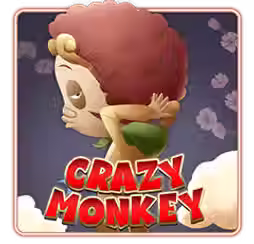 crazymonkey.avif
