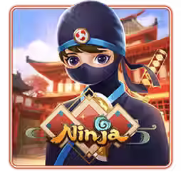 ninja2.avif
