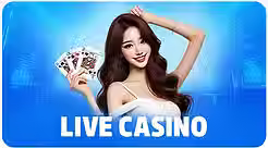 casino.avif