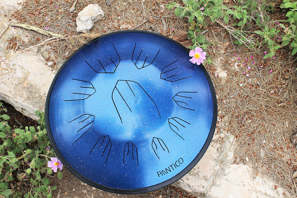 תמונה ממוזערת: Pantico MAX 10