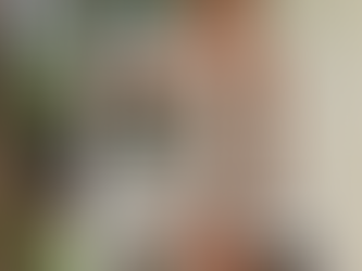 A MODA SUSTENTÁVEL DO RE:Vestir e AS AÇÕES SOCIAIS QUE ELE MOVIMENTA