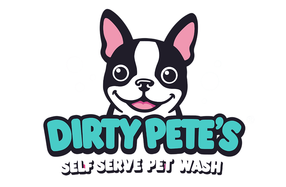 Barking News: A Splashy Gift for National Dog Day! 🐾