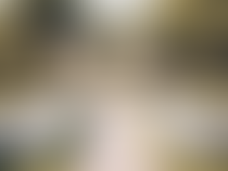 Meaningful Wedding and Naming Ceremonies by Lindsey Mason Ross