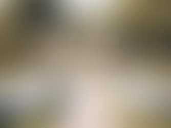 Meaningful Wedding and Naming Ceremonies by Lindsey Mason Ross