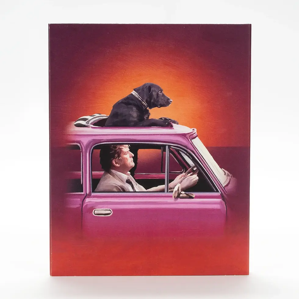 Back cover of Goodbye Paradise [Blu-ray] | peakbooks.shop