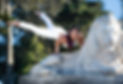 Clee_circus_nature.jpg