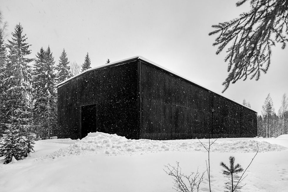 190208_Oltermannintie_6_031_B_W.jpg