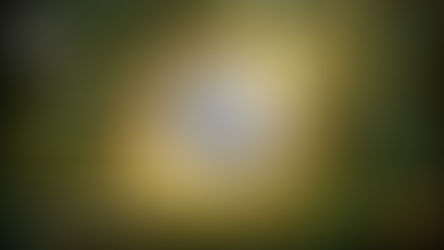 「居つき」の不在と指導の責任 〜ある元塾生との対話〜