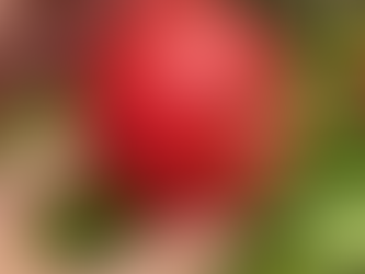 Keep the Skin: Apples, Garden Memories, and Knowing Your Grower