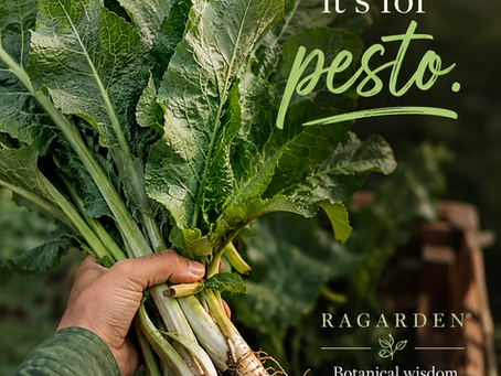 Horseradish Leaf Pesto: Garden Bouquet to Gut Renewal | RAGARDEN®