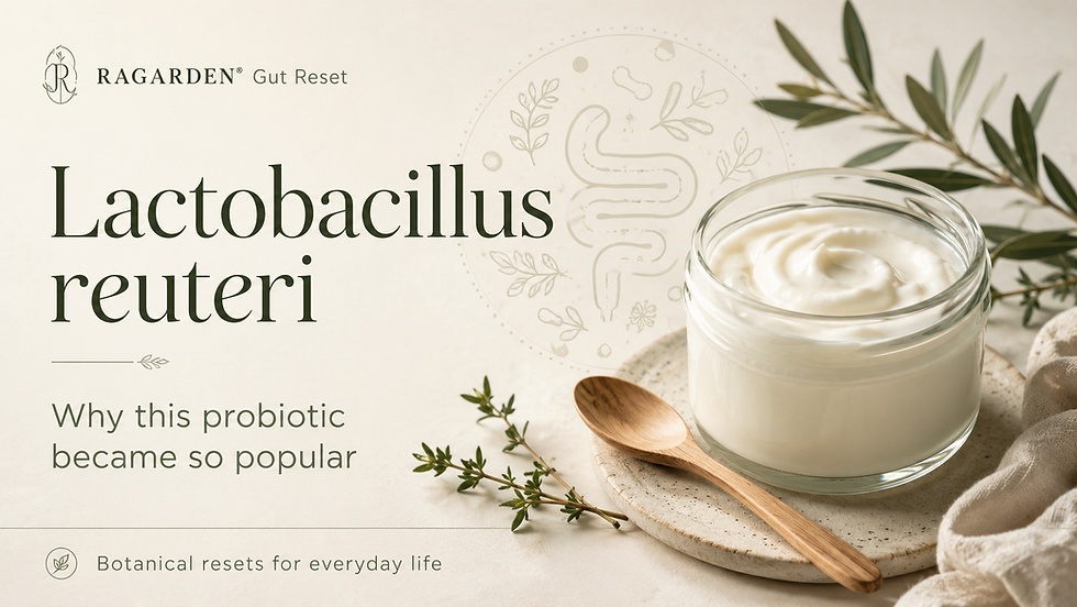 L. reuteri yogurt, jar with yogurt 