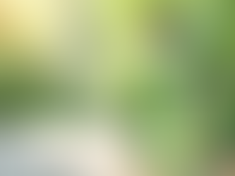 Unlock the Secrets of Aloe Vera Hydrosol for Ultimate Skin Hydration and Beauty Tips