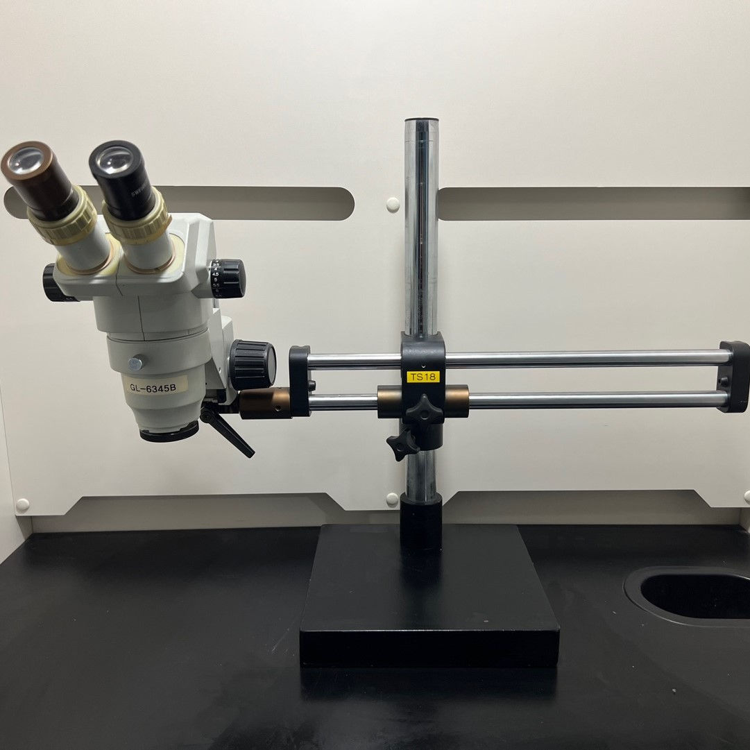 GL-6345B Stereo Microscope