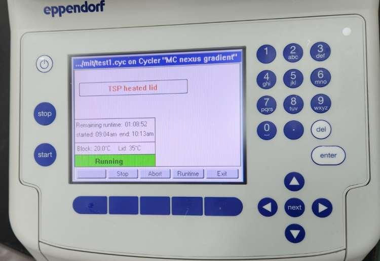 Thumbnail: eppendorf 6331 Mastercycler nexus gradient PCR