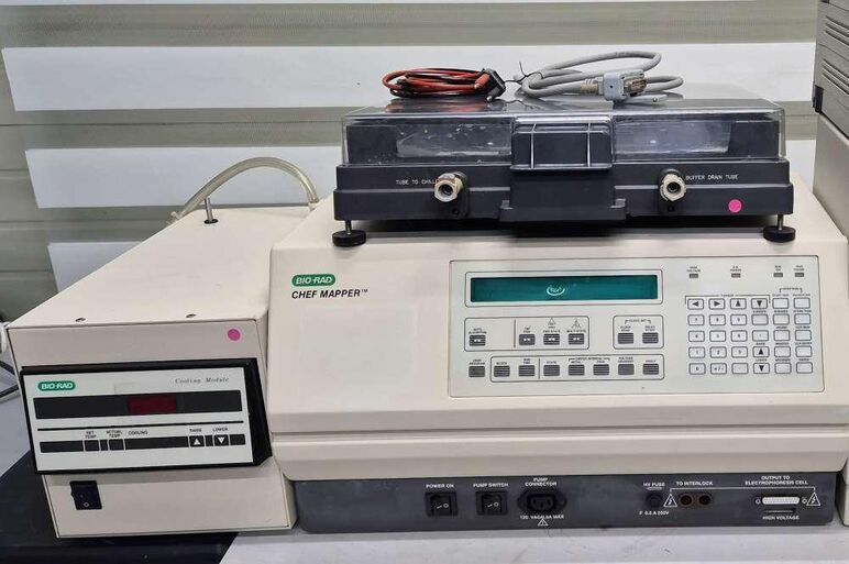 BIO RAD CHEF MAPPER Pulse Field Gel Electrophoresis System