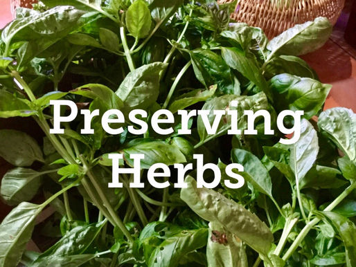 Making Full Use of Herbs