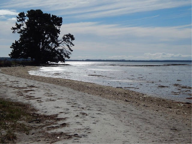 Tauranga Moana, with Matakana Island in the distance