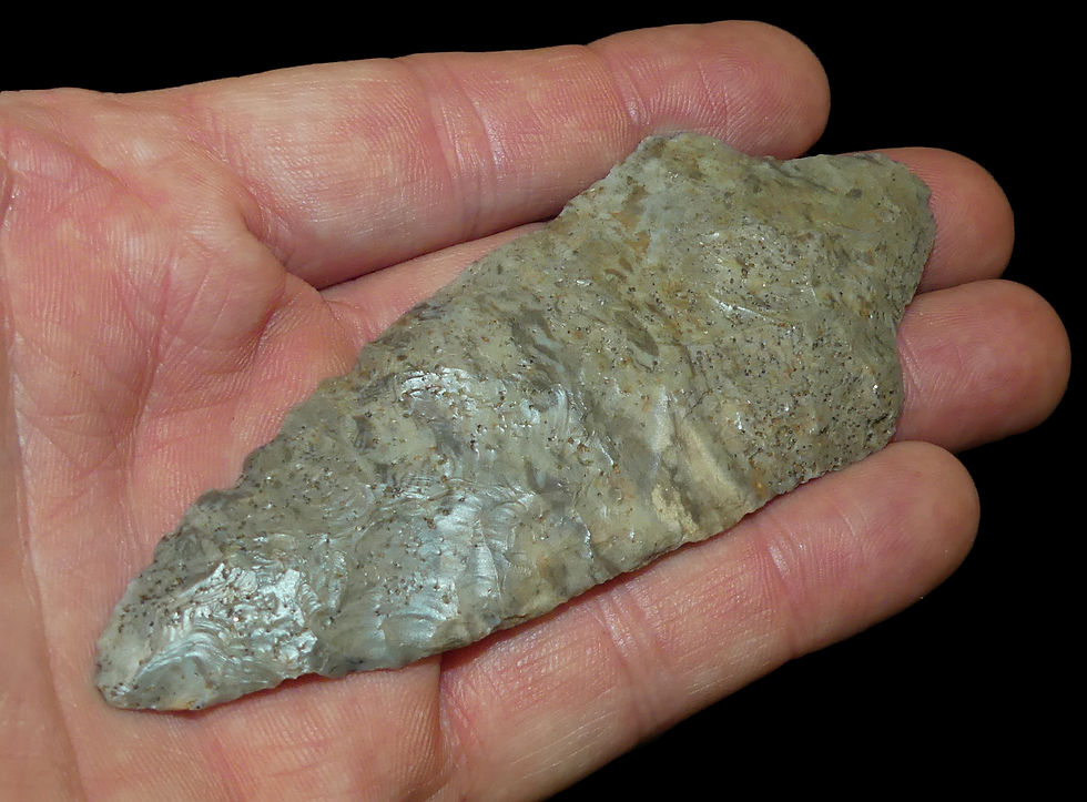 Thumbnail: Gary Haskell Co Oklahmoa Partain COA EB